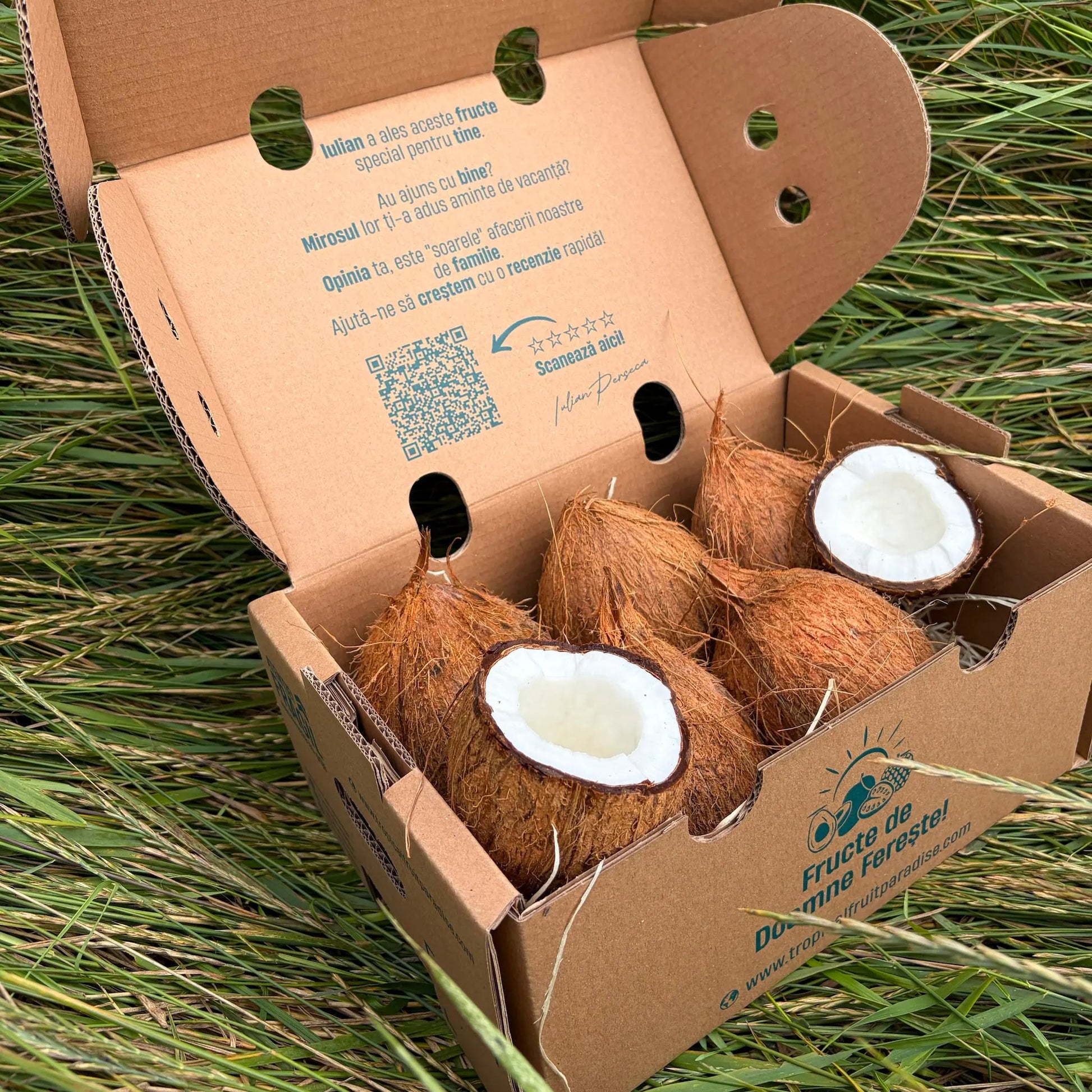 Fresh whole brown fibrous coconuts and two open halves showing the white inner meat, arranged on a straw bed inside a cardboard delivery box on green grass.