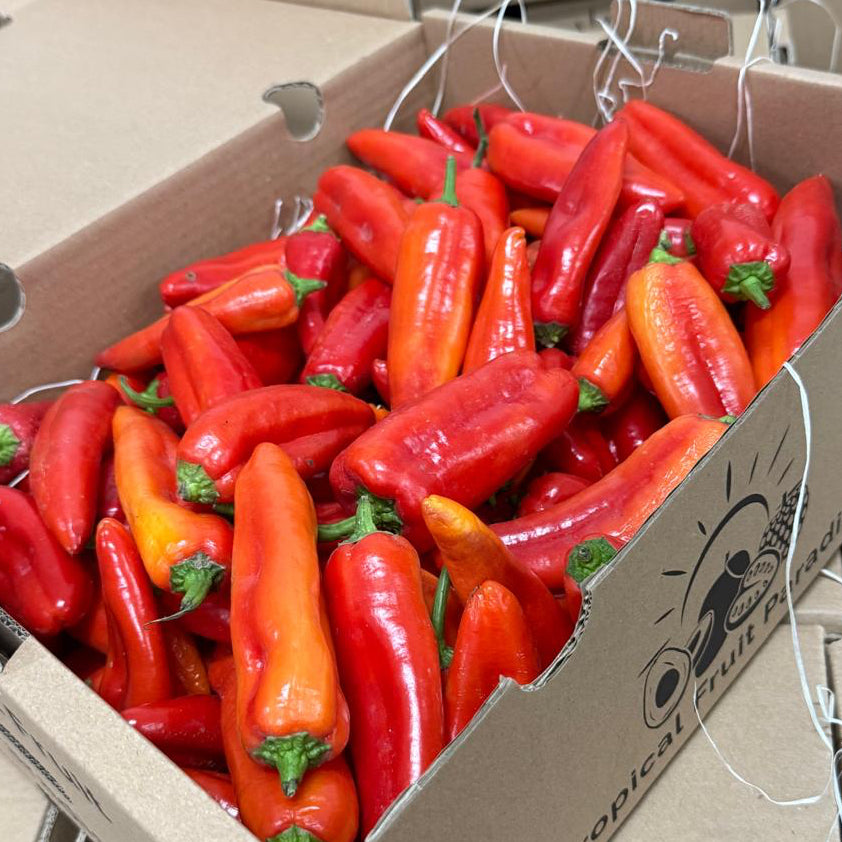 Fresh mini Kapia peppers, elongated red peppers, in Tropical Fruit Paradise delivery box