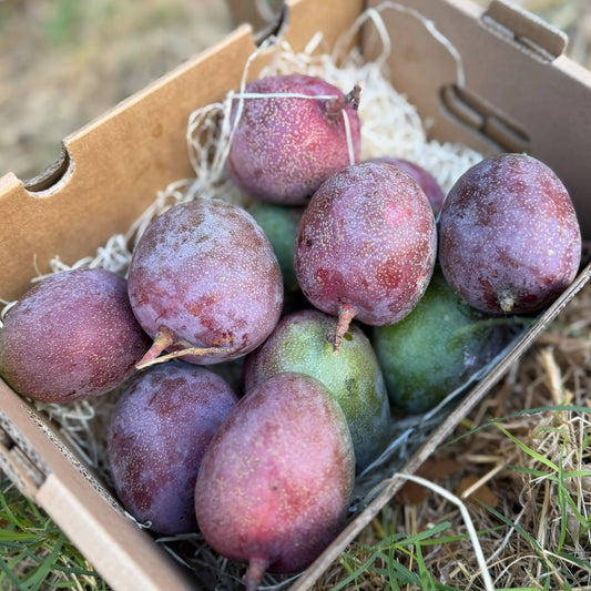 Baby Haden mangoes with speckled purple-red skin, a few still green, stems attached, in a 2 kg box