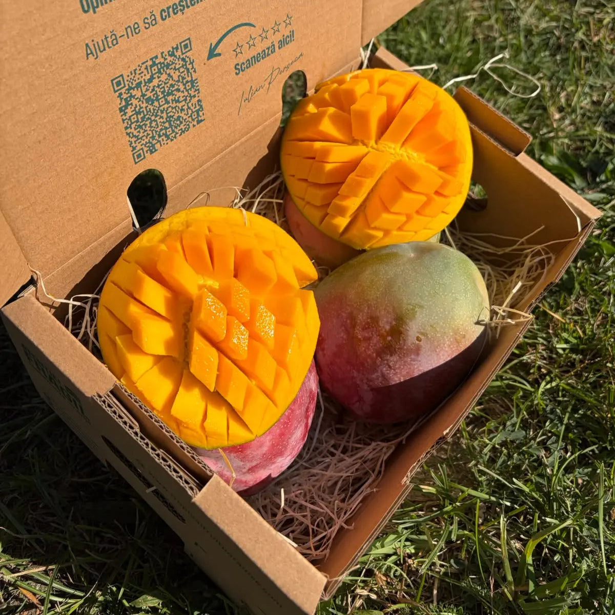 Kent mangoes with red-blushed green skin in a 2 kg Tropical Fruit Paradise box, two hedgehog-cut, fiberless orange flesh