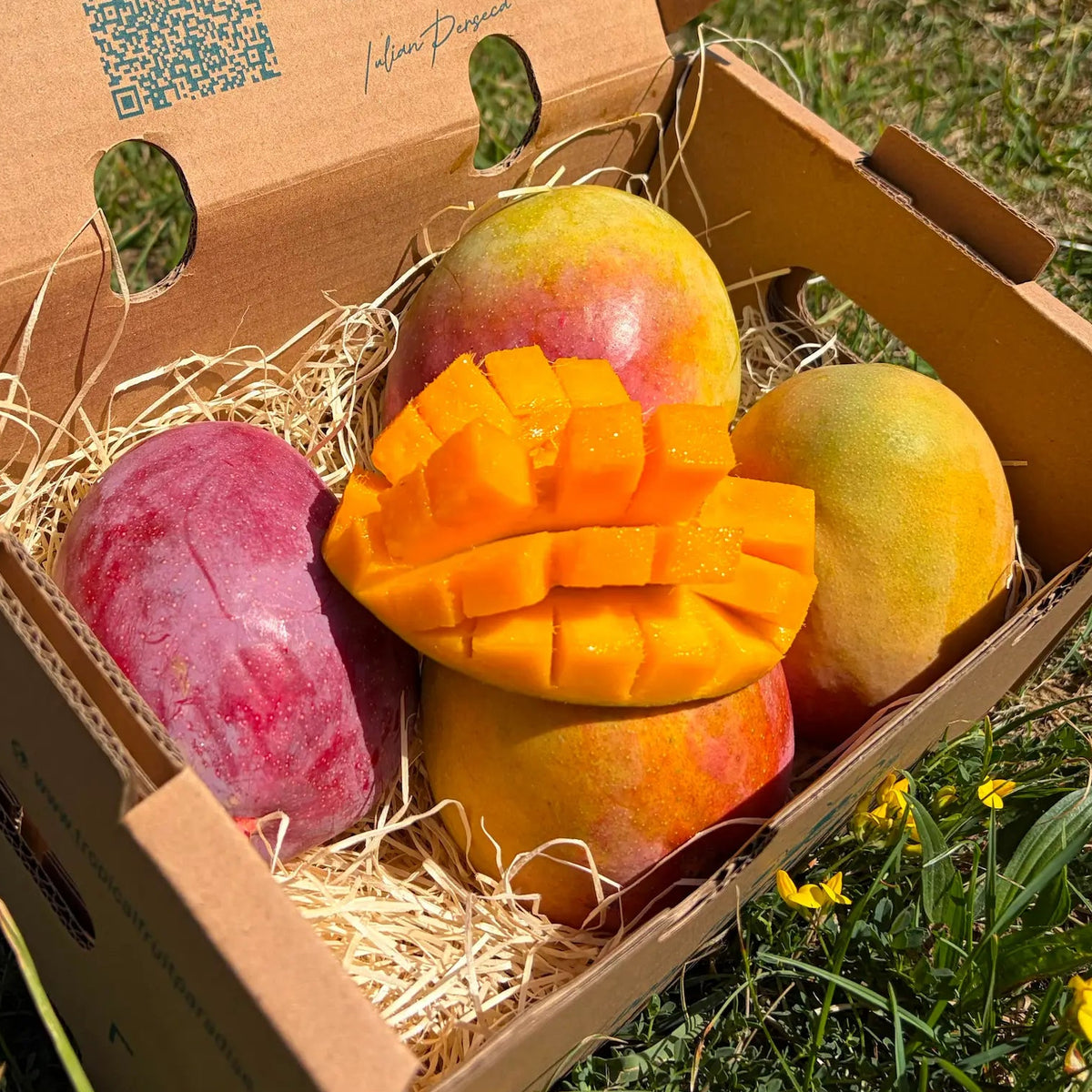 Tommy Atkins mangoes, crimson-blushed skin, 2 kg Tropical Fruit Paradise box, hedgehog-cut half showing deep orange flesh