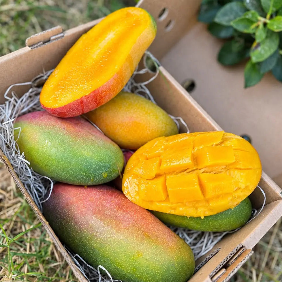 Mango Valencia Pride, coajă verde cu roșu, cutie de 2 kg Tropical Fruit Paradise, o jumătate crestată în cuburi, miez auriu