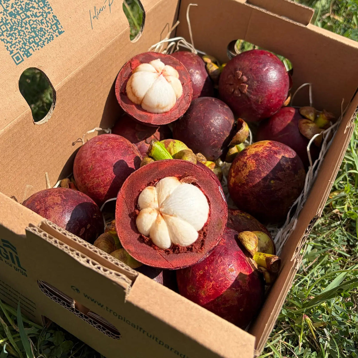 Mangosteen with deep red-purple rind in a 1 kg Tropical Fruit Paradise box, two halves opened to show white segmented flesh