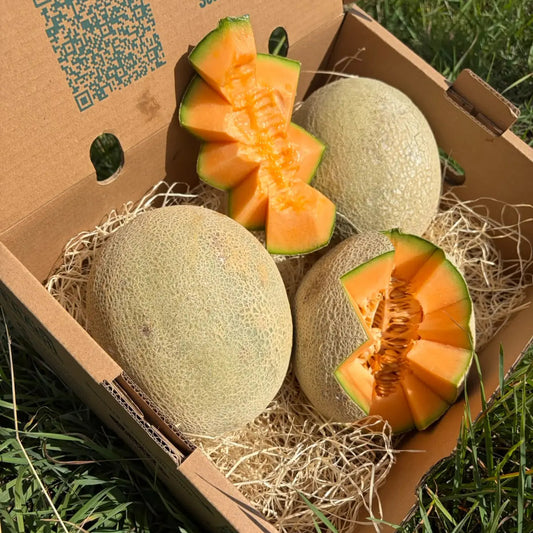 Cantaloupe melons with netted beige rind in a 5 kg Tropical Fruit Paradise box, two cut open showing bright orange flesh