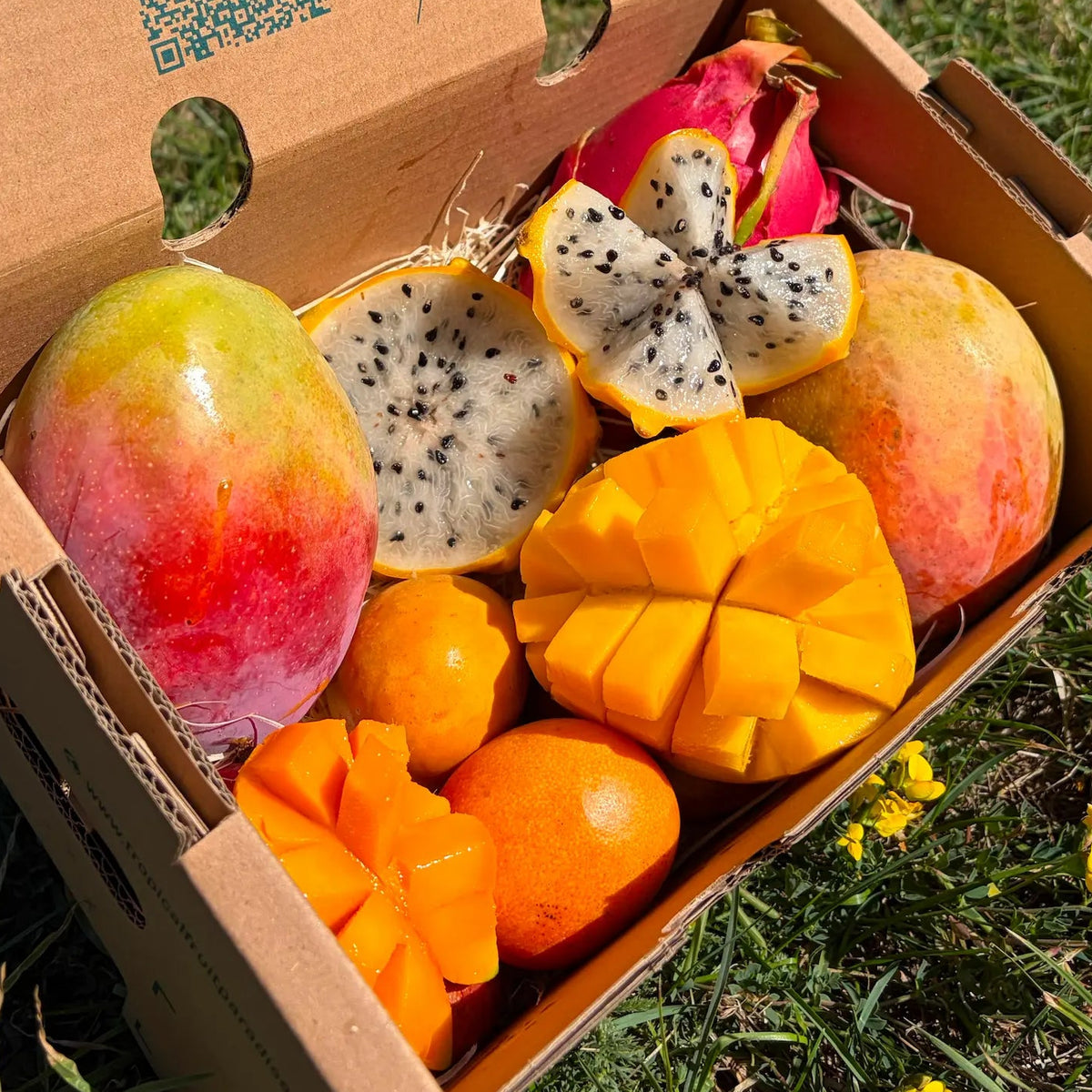 Mini Mix 2.5 kg Tropical Fruit Paradise box with blushed mangoes, halved yellow and pink dragon fruit, hedgehog-cut mango