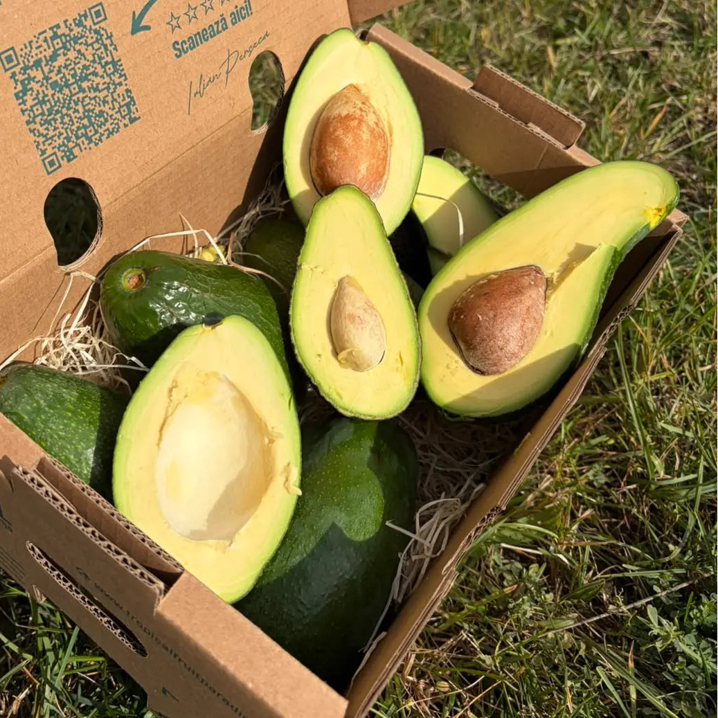 Avocado mix in a 2 kg Tropical Fruit Paradise box: smooth and pebbly-skinned varieties, several halved with pale yellow flesh