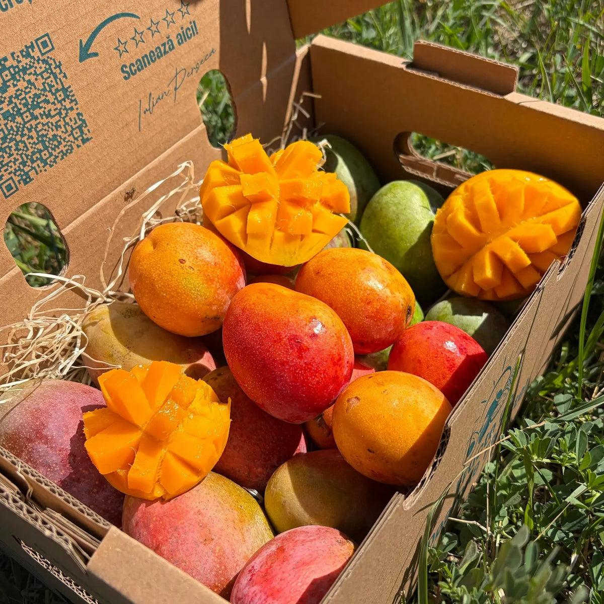  Baby mango mix with red, orange and green skins, 2kg Tropical Fruit Paradise box, hedgehog-cut halves showing orange flesh