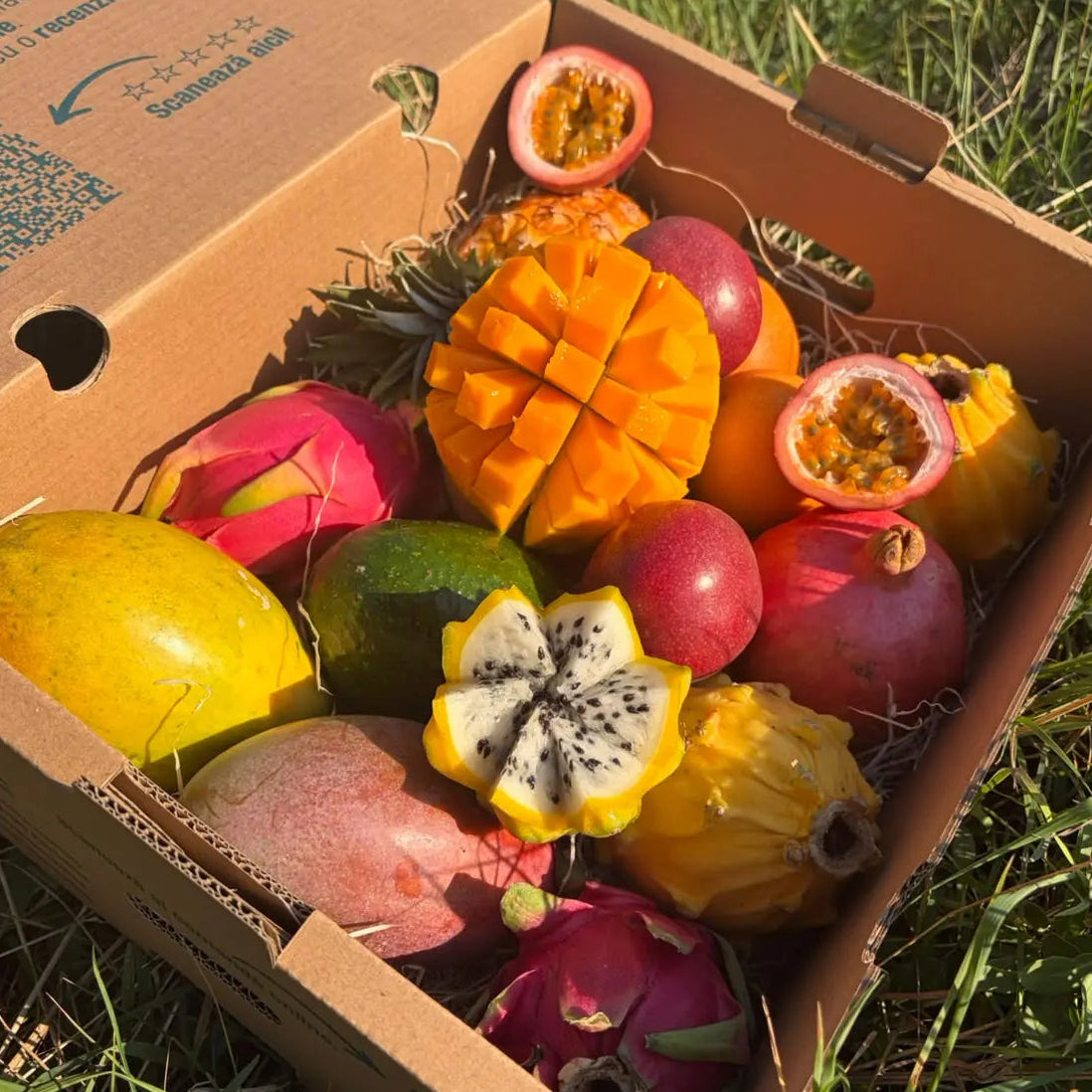 A tropical fruit paradise box filled with assorted fresh fruits, including mangoes, dragon fruit, papayas, passion fruit, and a sliced white fruit with black seeds, placed on grass outdoors.