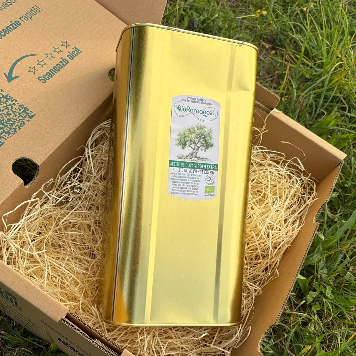 BIO extra virgin olive oil in a 5 L gold tin, EU organic label, packed with wood wool in a Tropical Fruit Paradise box