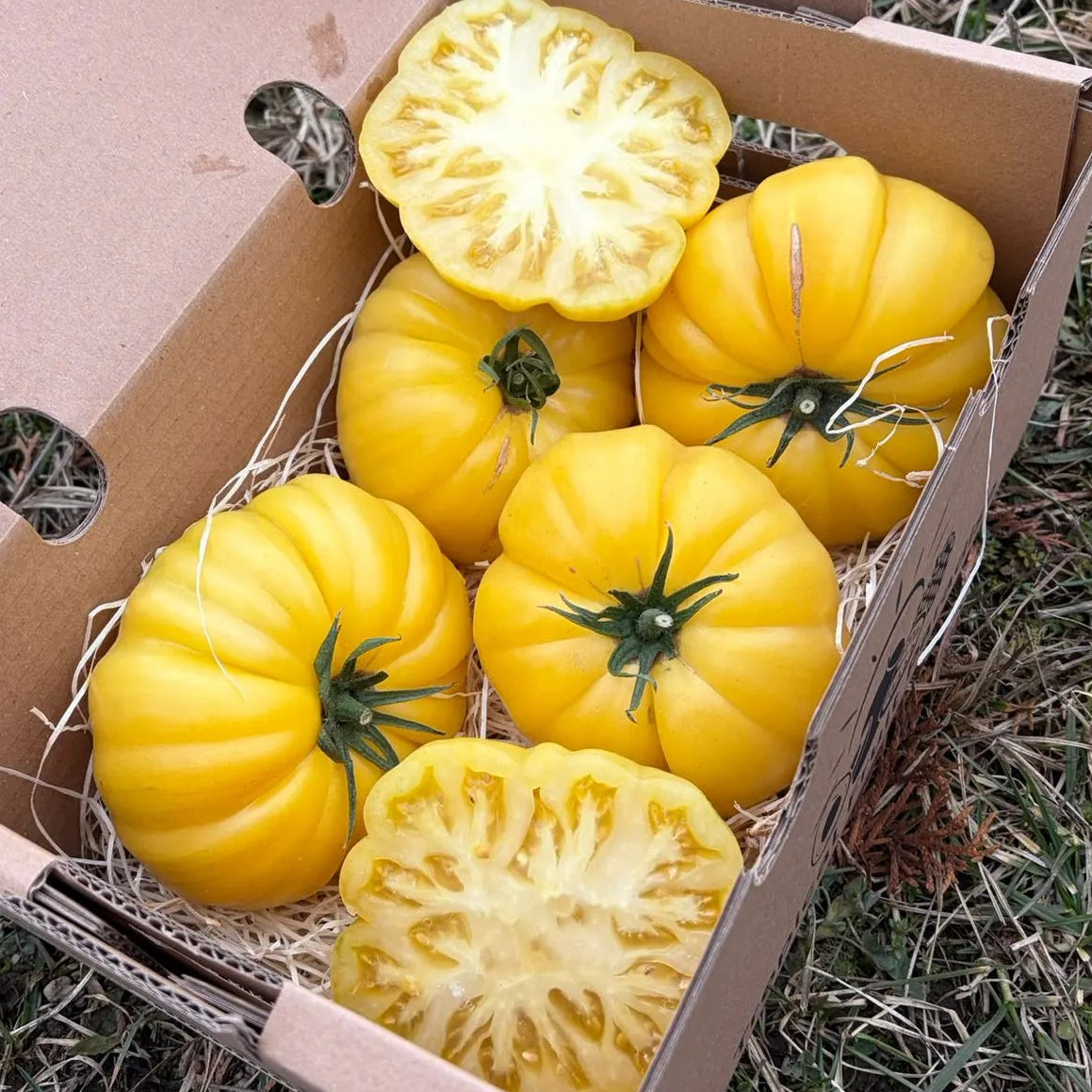 Yellow Pineapple heirloom tomatoes, sliced to show sweet dense flesh, fresh delivery box from Tropical Fruit Paradise.